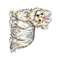 Illustration Other