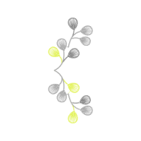 Illustration Other
