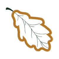 Illustration Other