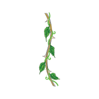 Illustration Other