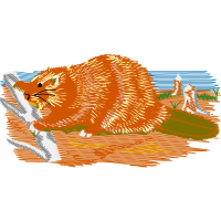 Illustration Other