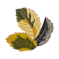 Illustration Other
