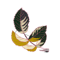 Illustration Other