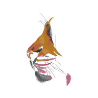Illustration Other