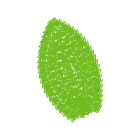Illustration Other