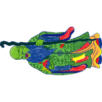 Illustration Other