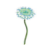 Illustration Other