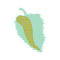 Illustration Other