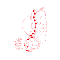 Illustration Other