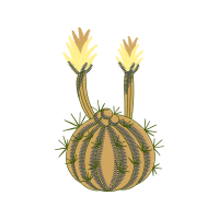 Illustration Other