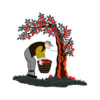 Illustration Other