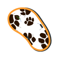 Illustration Other