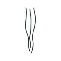 Illustration Other