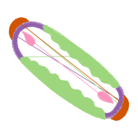 Illustration Other