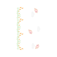 Illustration Other
