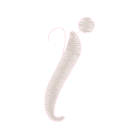 Illustration Other
