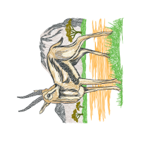 Illustration Other