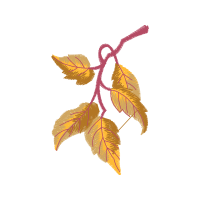 Illustration Other