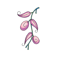 Illustration Other