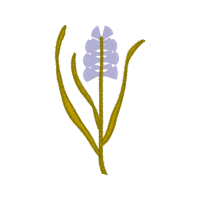 Illustration Other