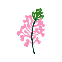 Illustration Other
