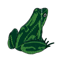 Illustration Other