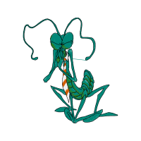 Illustration Other