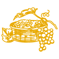 Illustration Other