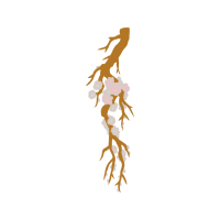 Illustration Other