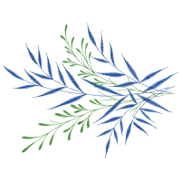 Illustration Other