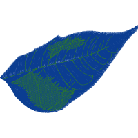 Illustration Other