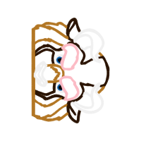 Illustration Other