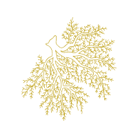 Illustration Other