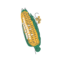 Illustration Other