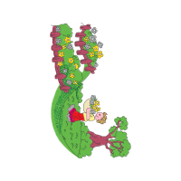Illustration Other