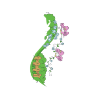 Illustration Other