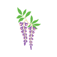 Illustration Other