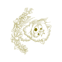 Illustration Other