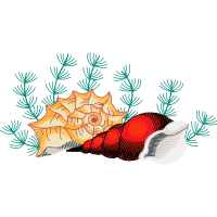 Illustration Other