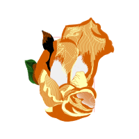 Illustration Other
