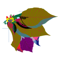 Illustration Other