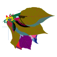 Illustration Other