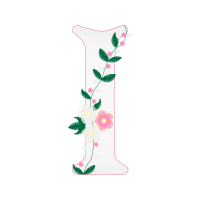 Illustration Other