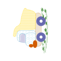 Illustration Other