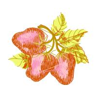 Illustration Other