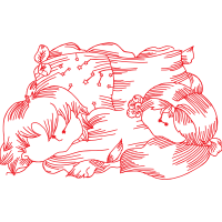 Illustration Other