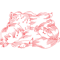 Illustration Other