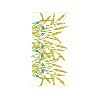 Illustration Other