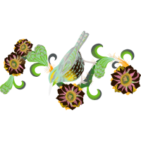 Illustration Other