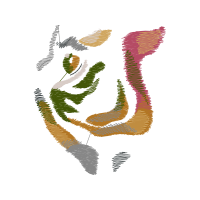 Illustration Other
